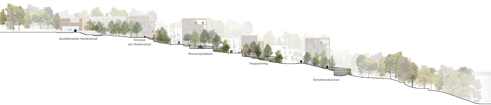 Coupe principale et séquences du projet ARCHITECTURE & AMéNAGEMENT S.A.